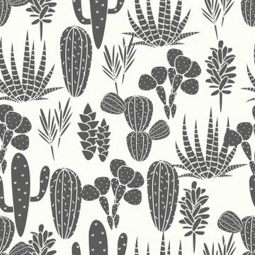 Succulents plant vector seamless pattern. Botanical black and white cactus flora Illustrazione stock