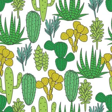 Succulents plant vector seamless pattern. Botanical green and white cactus flora イラスト素材