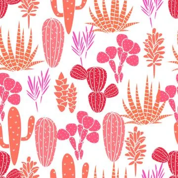 Succulents plant vector seamless pattern. Botanical pink and rose cactus flora Illustrazione stock