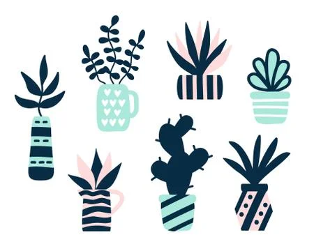 Succulents plants set Stock Illustration