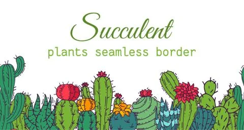 Succulents seamless border pattern cacti green plants vector illustration 스톡 일러스트