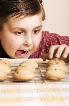 Succumb Stock Photos