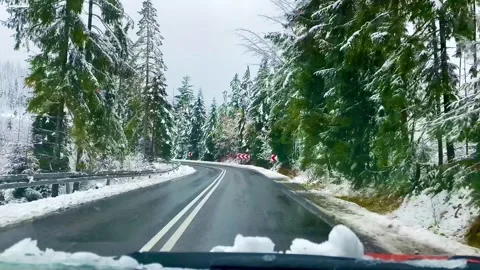 Such a beautiful road through the winter forest during travel. Stock Footage 258980846
