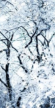 Such A Peaceful Winter Day Stock Photos