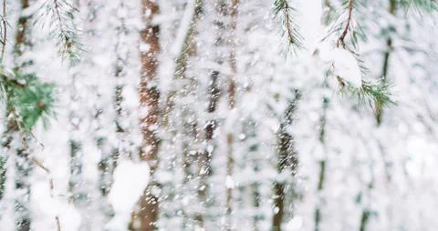 Such A Serene Winter Day Stock Photos