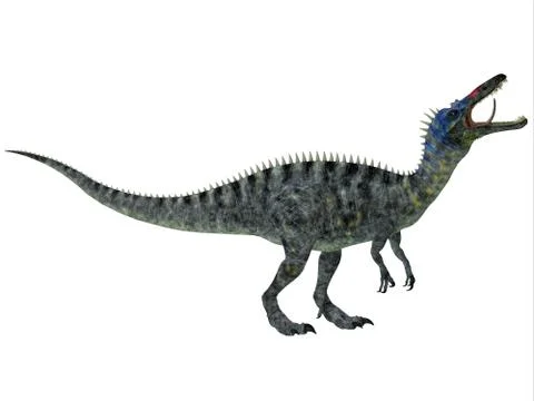 Suchomimus on white Stock Illustration