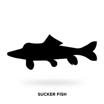 Sucker fish silhouette Stock-Illustration