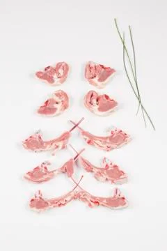 Sucking lamb chops Stock Photos