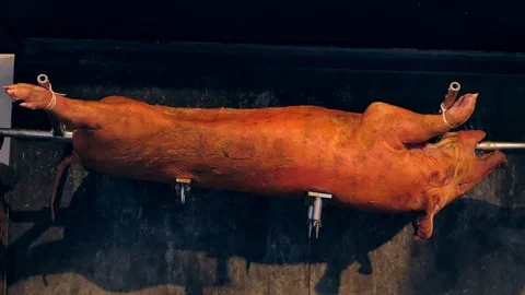 Suckling pig on grill Video stock 83344977