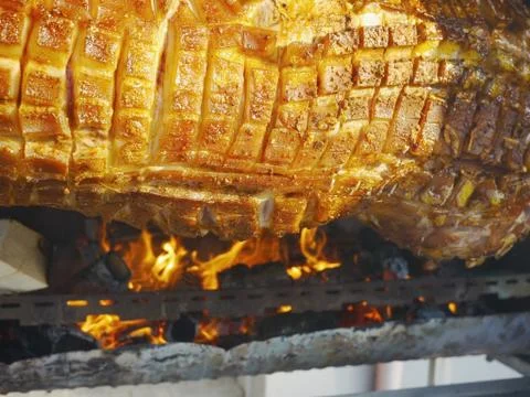Suckling pig Stock Photos