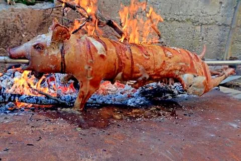 Suckling pig roasted Stock Photos