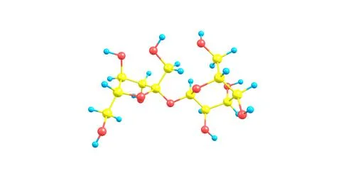 Sucrose molecular structure isolated on white Stock Illustration