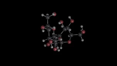 Sucrose Molecule Building Animation on Black Background Vídeos de archivo 344702051