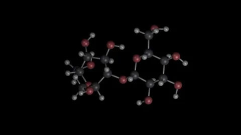 Sucrose Molecule Rotating on Black Background Vídeos de archivo 344702053
