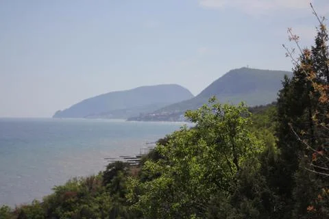 Sudak 库存照片