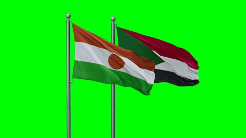 Sudan and Niger two flags Stock Footage 294261693