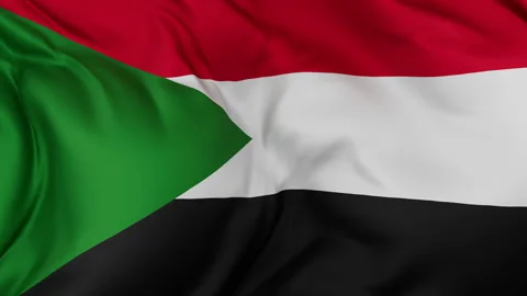 Sudan cloth flag background loop Stock Footage 310850716