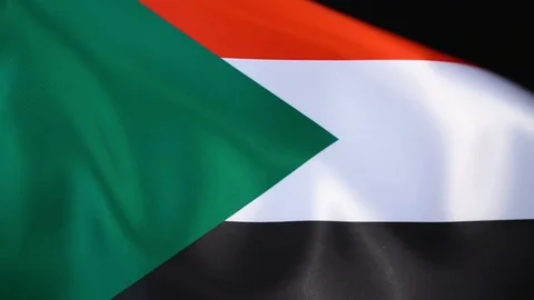 Sudan Flag Flapping Video stock 118966707