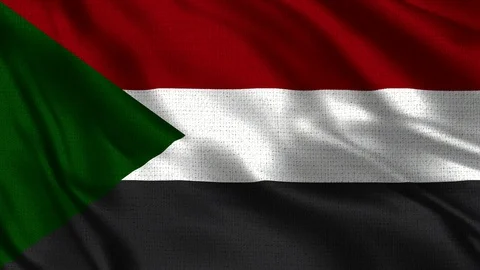 Sudan Flag Stock Footage 92648531