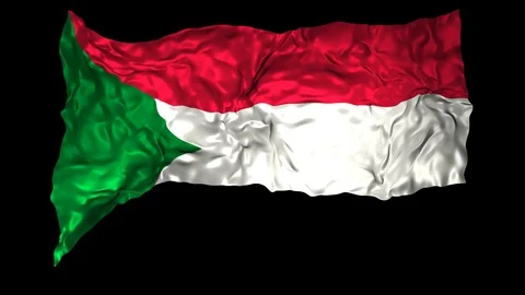 Sudan flag Stock Footage 110857728