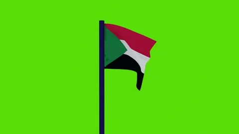 Sudan flag 스톡 동영상 256419792