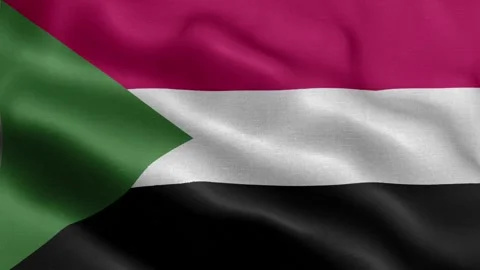 Sudan flag Front Stock Footage 318669876