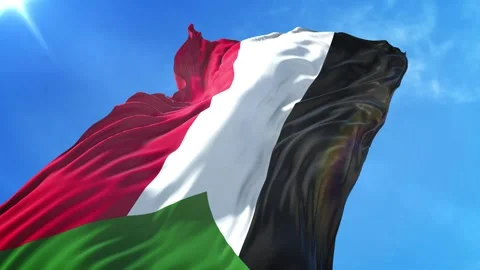 Sudan Flag Low Angle View Stock Footage 295697905