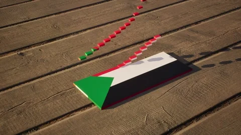 Sudan Flag - Slow Motion Stock Footage 318909181