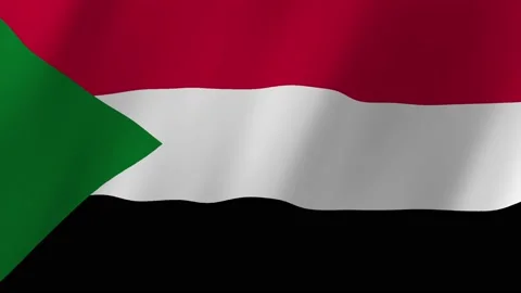 Sudan flag waving animation Stock Footage 222844750