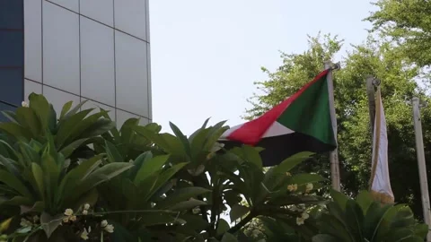 Sudan flag waving Video stock 178490116
