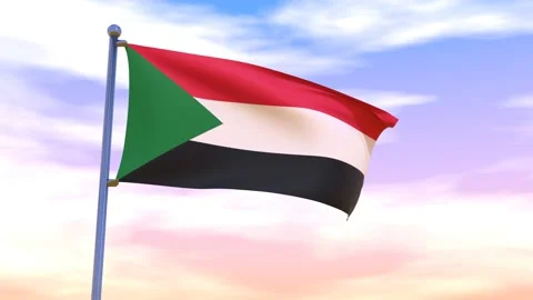 Sudan Flag waving in the high wind Stock Footage 155459116