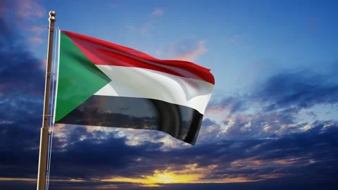 Sudan flag waving in the wind Stock Footage 280125457