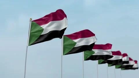 Sudan Row Of Flags Animation Stock-Footage 136258033
