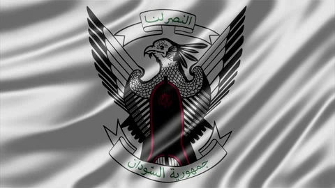 Sudan state emblem featuring a secretary bird Stock Footage 344847961