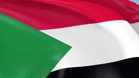 Sudan Waving Flag Background Loop Stock Footage 317845455