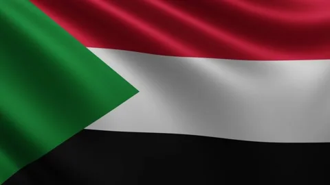 The Sudanese flag flutters in the wind close-up, the national flag of Sudan Stock Footage 219481191