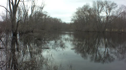 Sudbury river Stock Footage 37720841