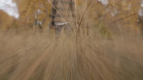 Sudden attack of a predator on the girl (horror movie) Stock-Footage 42772338