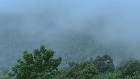 Sudden changed in weather of Thimphu Bhutan Stock-Footage 312275472