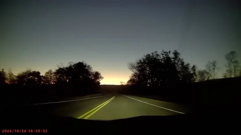 Sudden Collision Sends Deer Flying, usa - 02 Mar 2025 Vídeo Stock 303313892