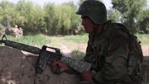 A sudden explosion rocks a line of trees in Afghanistan. Stock Footage 123371053