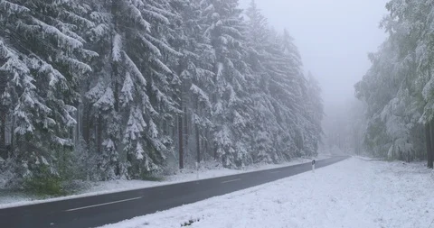 A sudden return of winter on a foggy spring day Vídeo Stock 108502480