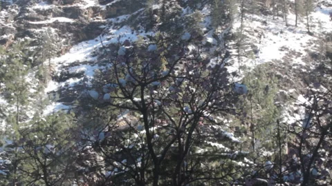 Sudden snow in Himalayan valley, on background of flowering trees Stockbeeldmateriaal 89406047