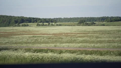 Suddenly, a car passes from left to right on the road. Stock Footage 162242437