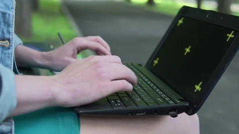 Sudent work using laptop in the campus park Stock Footage 81766636