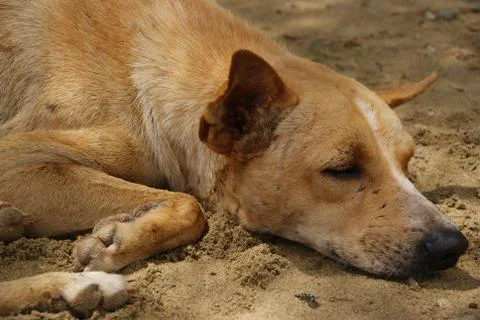 Sueños de arena Foto stock