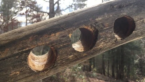 Suet feeder in the daylight 스톡 동영상 82731266