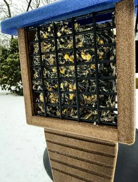 Suet Feeder 库存照片