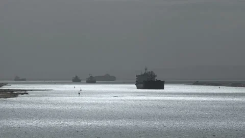 Suez canal. Cargo ships sail one after another. Vessels in silhouette Stock Footage 219831707