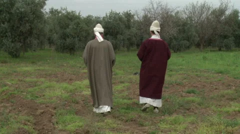 Sufi Dervishes Study Stock Footage 46066622